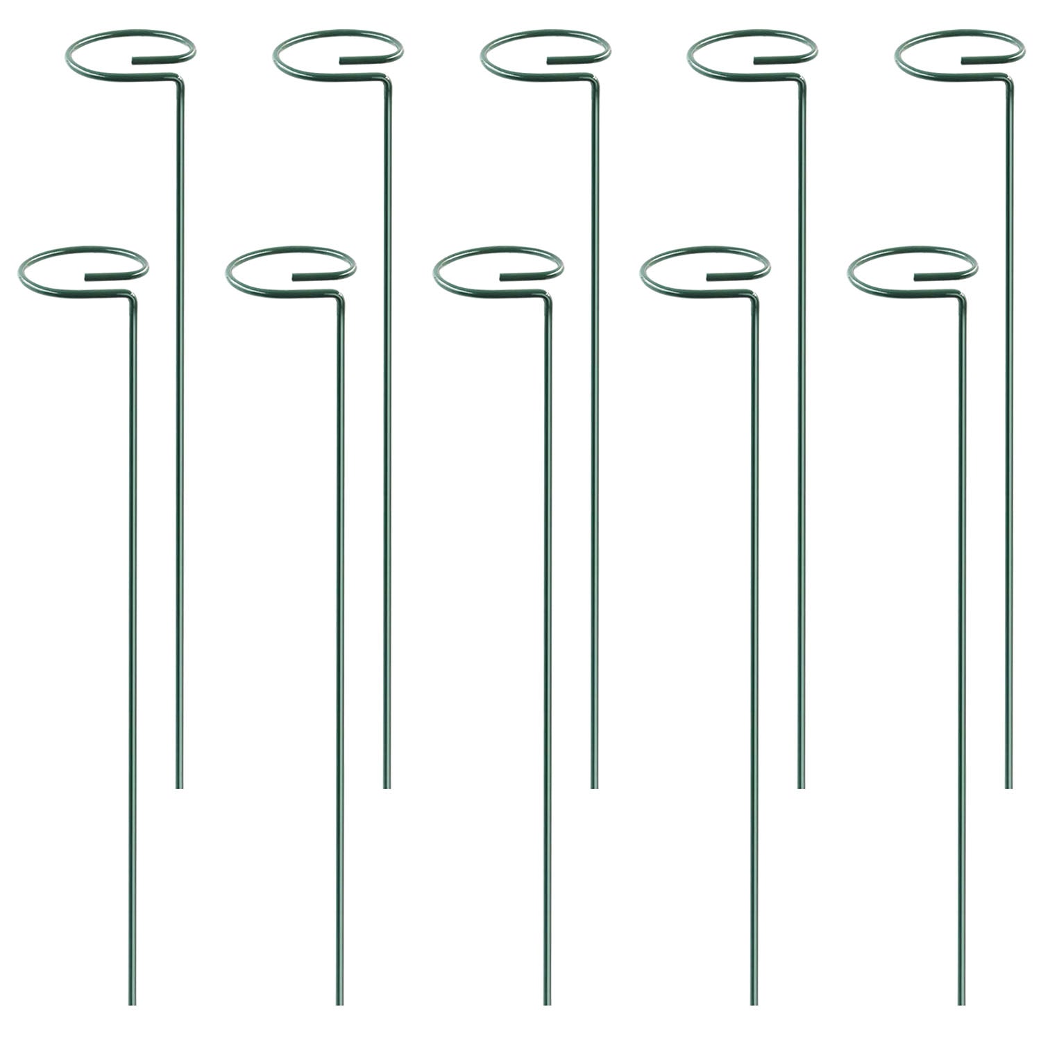 Garden Plant Support Stakes for Single Stem