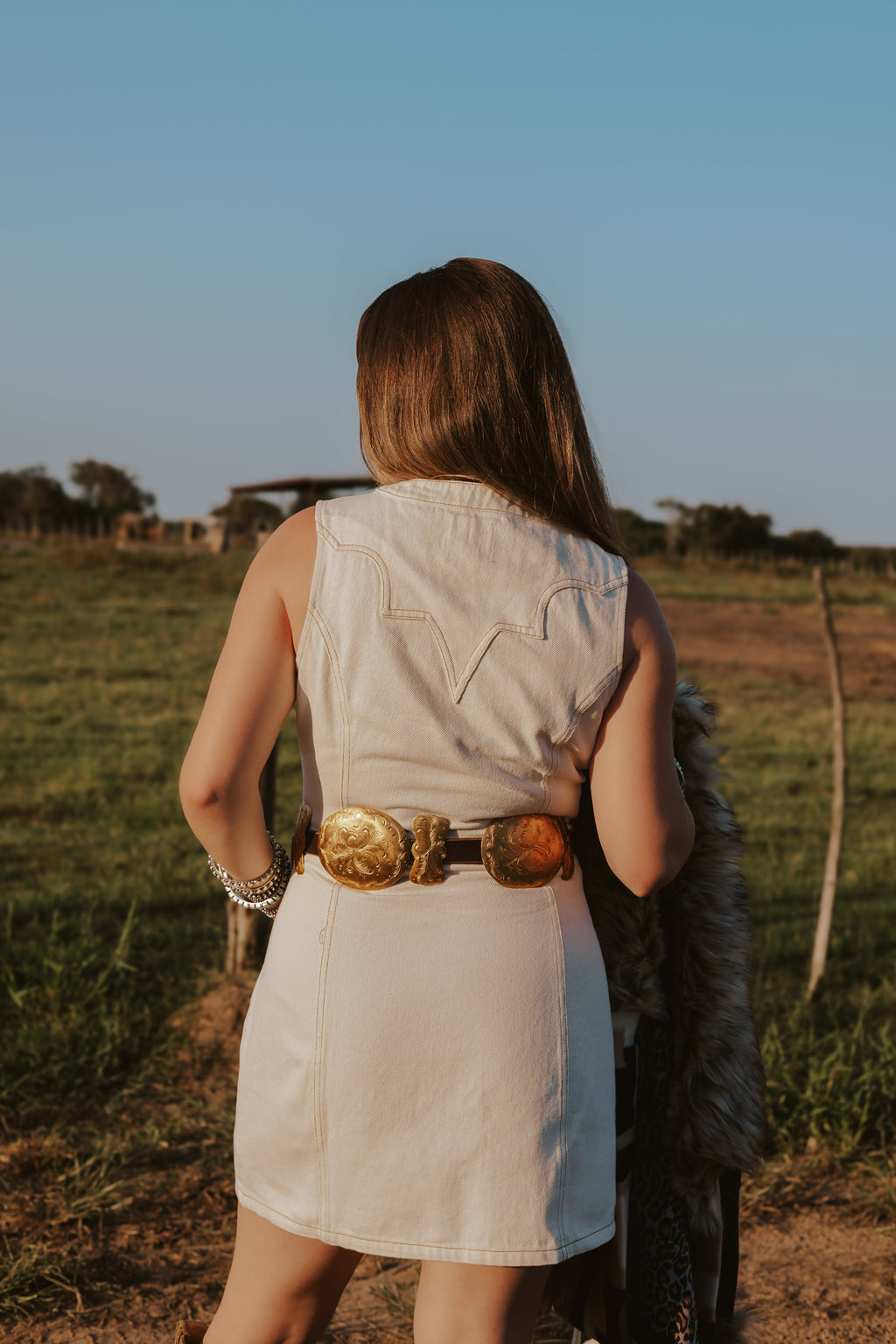 The Cordell Denim Dress- Extra Small
