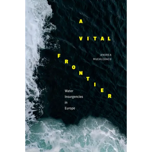 A Vital Frontier: Water Insurgencies in Europe - Paperback