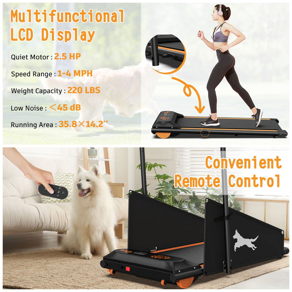 Dog Treadmill For Small To Medium Dogs With LED Display - Black / Orange