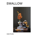 Swallow - Paperback