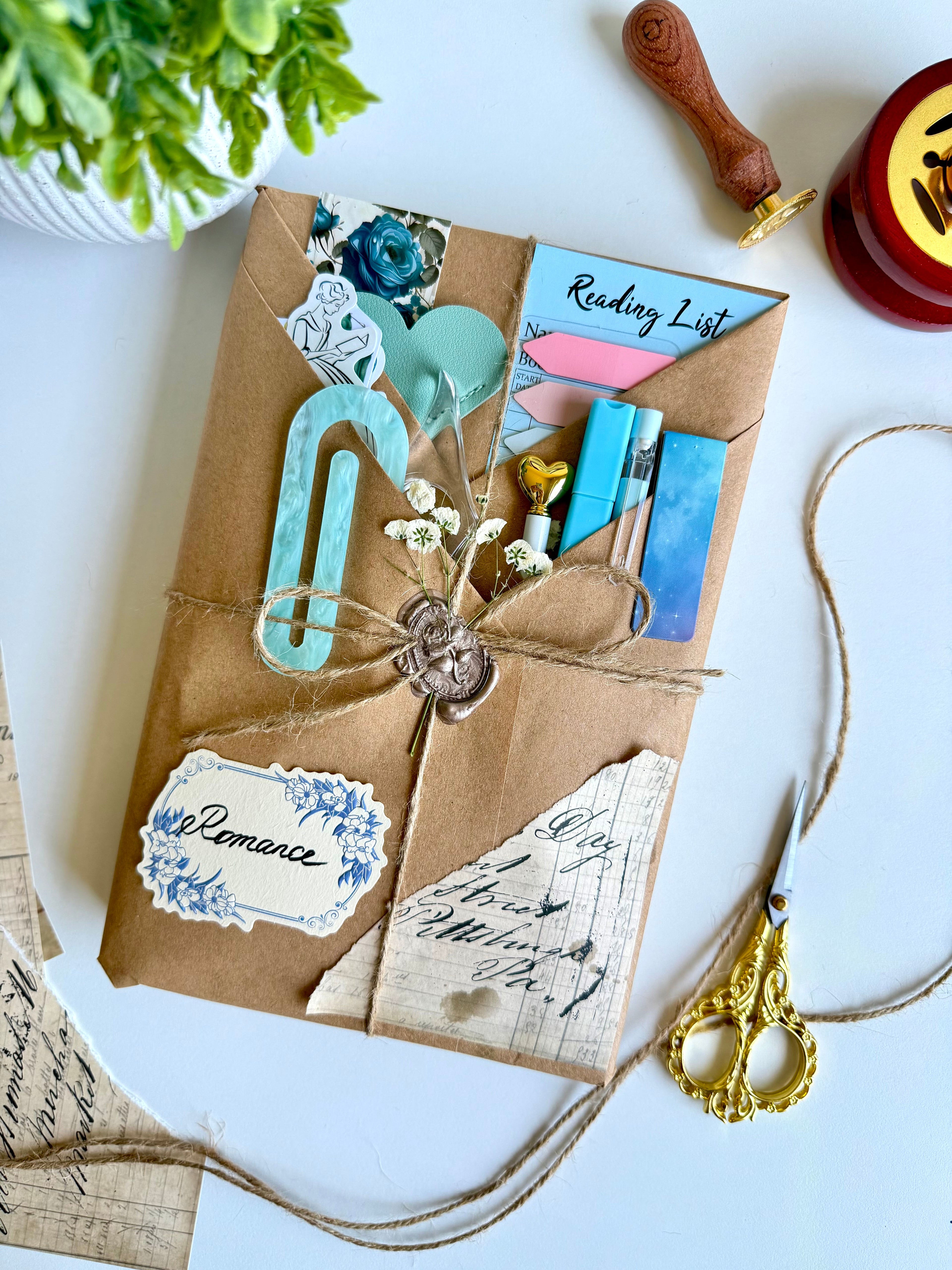 Blind Date with a Book | Mystery Book Box Gift for Book Lovers (Please Read Description)