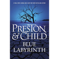 Blue Labyrinth - Hardcover