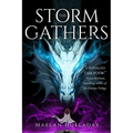 The Storm Gathers - Hardcover