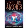 Vinculum Amoris: A Theology of the Holy Spirit - Paperback