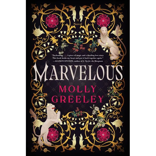 Marvelous: A Novel of Wonder and Romance in the French Royal Court - Paperback