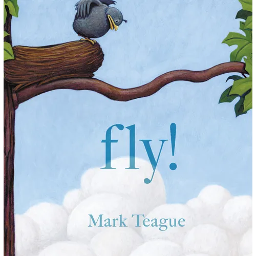 Fly! - Hardcover