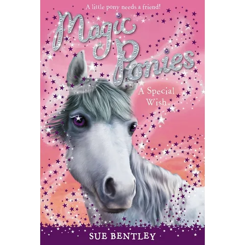 A Special Wish - Paperback