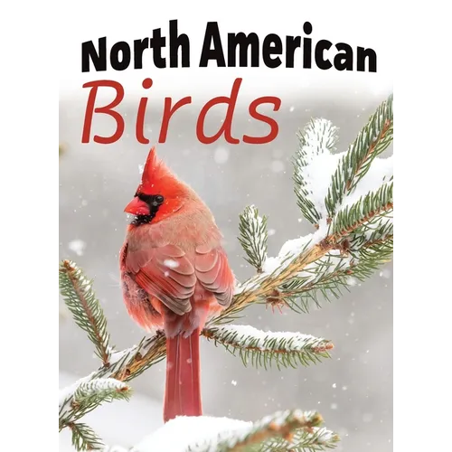 North American Birds - Hardcover