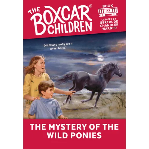 The Mystery of the Wild Ponies - Paperback
