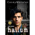Hallum: A romantic mm historical spy thriller - Hardcover