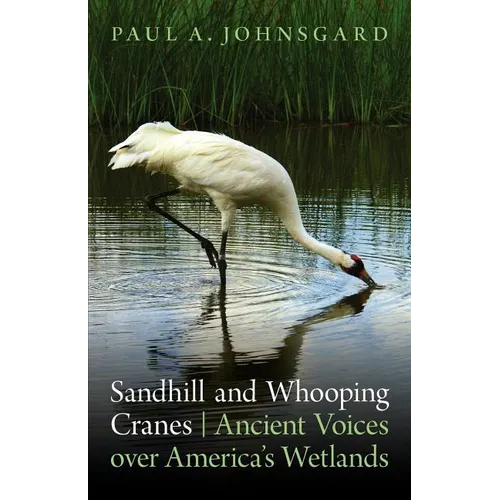 Sandhill and Whooping Cranes: Ancient Voices Over America's Wetlands - Paperback