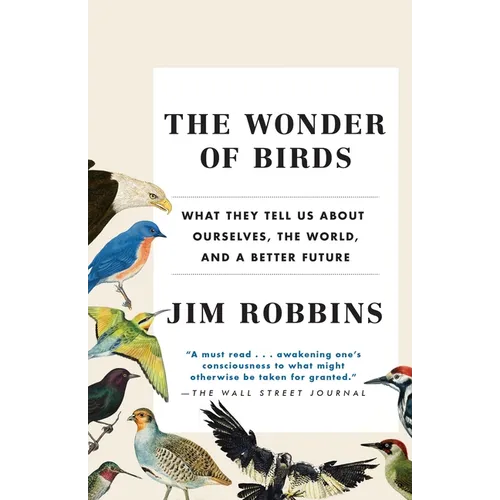The Wonder of Birds: What They Tell Us about Ourselves, the World, and a Better Future - Paperback
