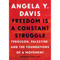 Freedom Is a Constant Struggle: Ferguson, Palestine, and the Foundations of a Movement - Paperback