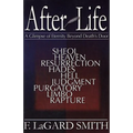 After Life: A Glimpse of Eternity Beyond Death's Door - Paperback