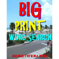 Big Print Word Search: 133 Entertaining Themed Puzzles - Paperback