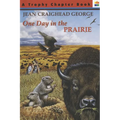 One Day in the Prairie - Paperback