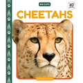 Cheetahs - Library Binding