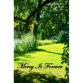 Mercy Is Forever - Paperback