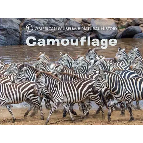 Camouflage - Board Book