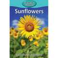 Sunflowers - Paperback