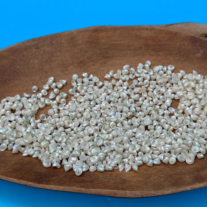 Bulk Mini Pearl Spiral Top Shells – 1 oz for Crafting & DIY Projects