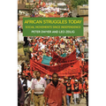 African Struggles Today: Social Movements Since Independence - Paperback
