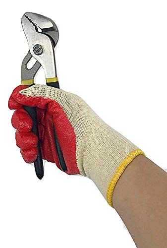 10 Pk Red Gloves