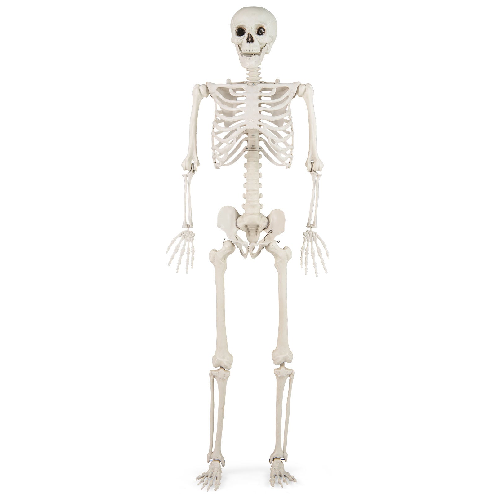 5.4 FT Halloween Skeleton Decoration Life Size Large Skeleton
