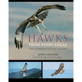 Hawks from Every Angle: How to Identify Raptors in Flight - Paperback