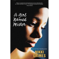 A Girl Named Mister - Paperback