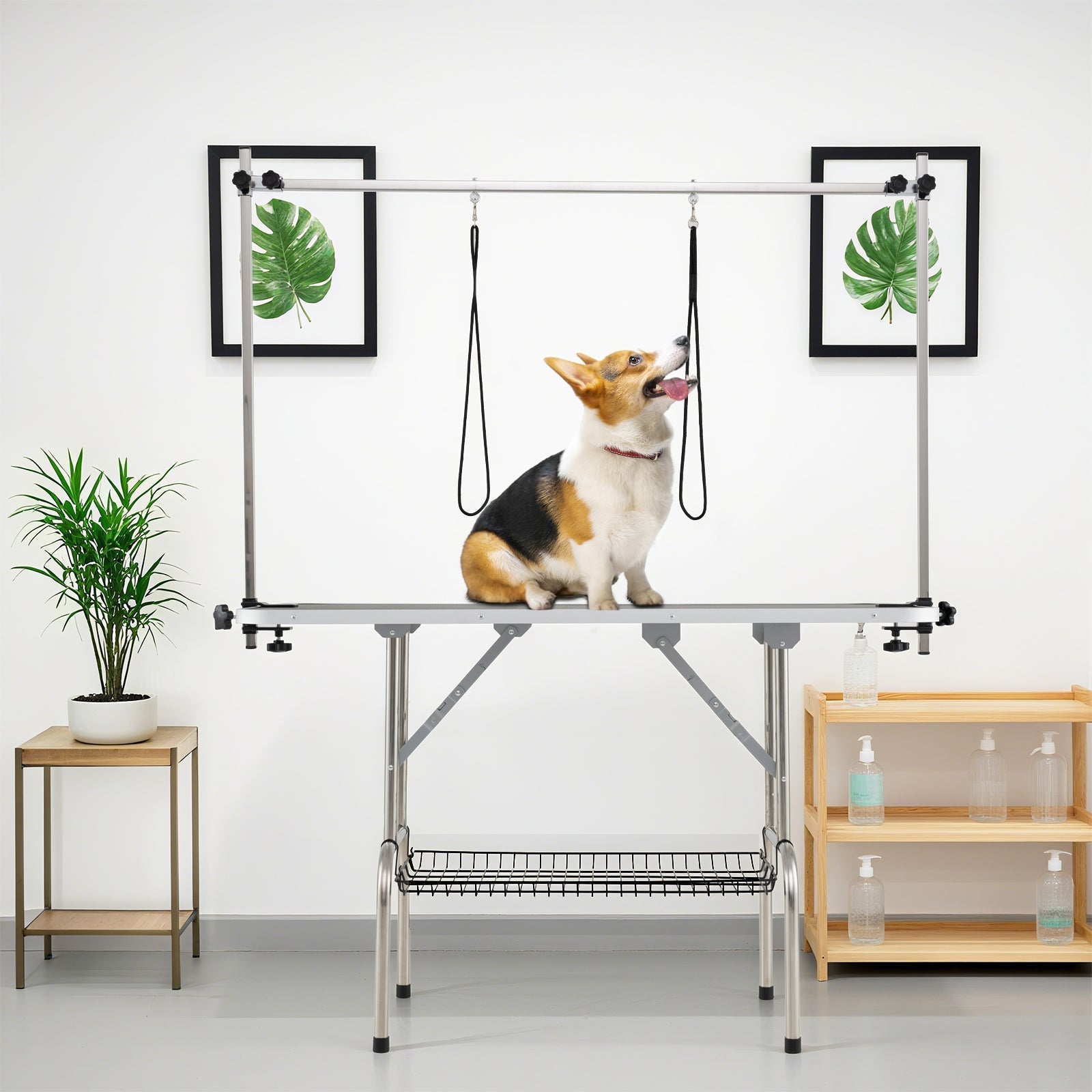 Foldable Dog Grooming Table with Height Adjustable Arms-Black