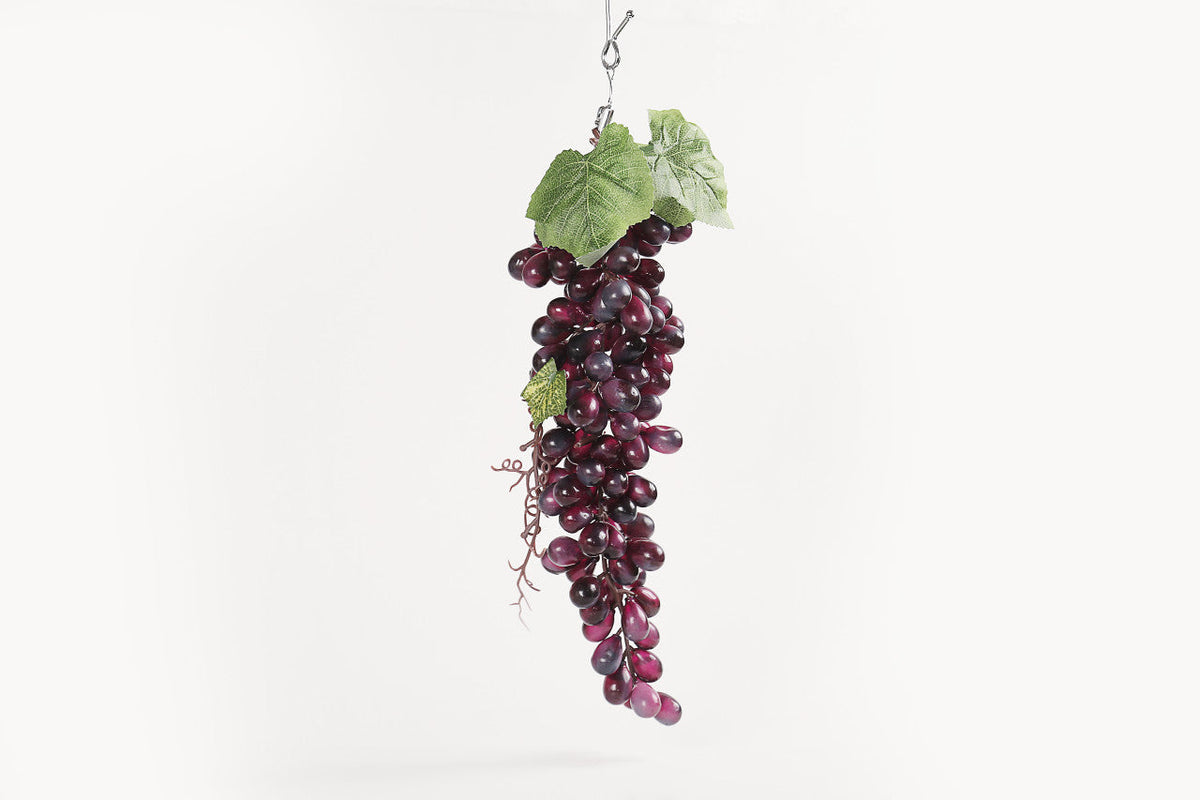 Noy Sukkah, Purple Grape Cluster