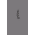 Gray Jellyfish - Paperback