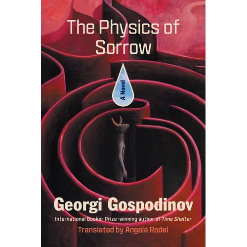 The Physics of Sorrow - Paperback