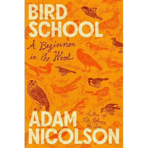 Bird School: A Beginner in the Wood - Hardcover