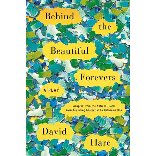 Behind the Beautiful Forevers: A Play - Paperback