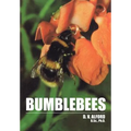 Bumble Bees - Paperback
