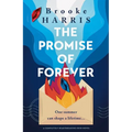 The Promise of Forever: A Completely Heartbreaking Irish Novel - Paperback