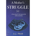 A Mother's Struggle 3: 1 - Paperback