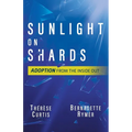 Sunlight on Shards: Adoption From the Inside Out - Paperback