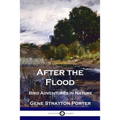After the Flood: Bird Adventures in Nature - Paperback