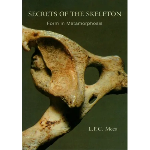 Secrets of the Skeleton: Form in Metamorphosis - Paperback