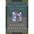 What Dreams May Come - Paperback