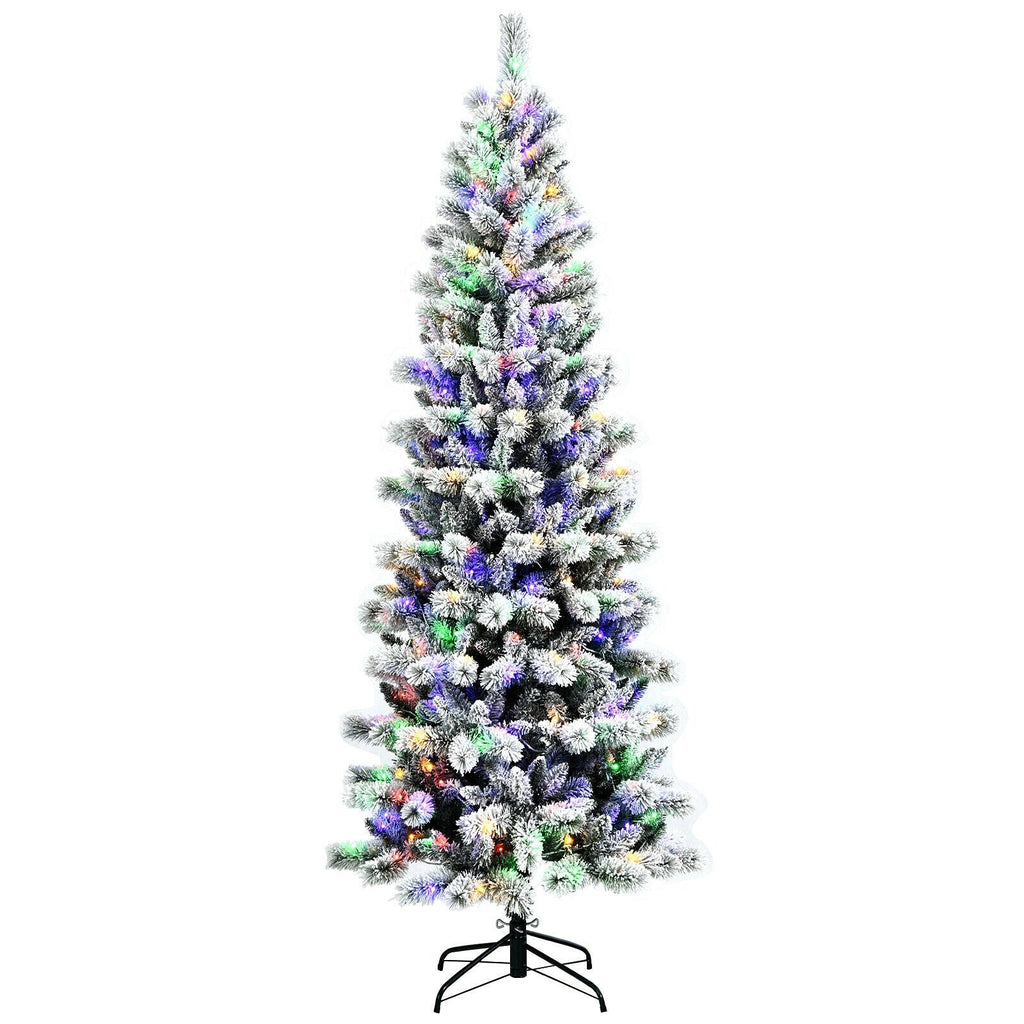 7.5 Feet Pre