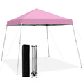10 x 10 Feet Outdoor Instant Pop-up Canopy with Carrying Bag