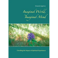 Imaginal World, Imaginal Mind: Unveiling the Impact of Spiritual Experiences - Paperback