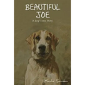 Beautiful Joe: A Dog's Own Story - Paperback