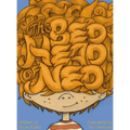 The Bed Head of Ned - Hardcover