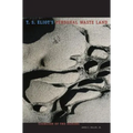 T. S. Eliot's Personal Waste Land: Exorcism of the Demons - Paperback